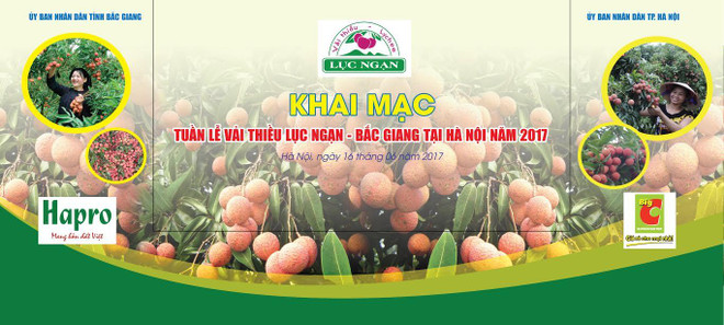 Luc Ngan lychee week opens in Hanoi ảnh 1
