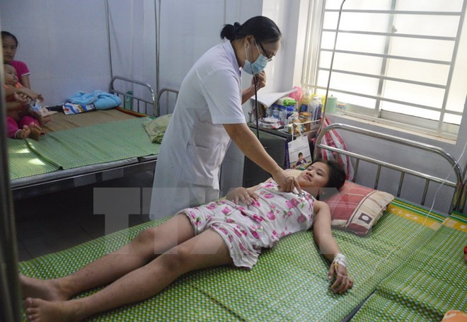Hospitals urged to improve dengue fever treatment ảnh 1