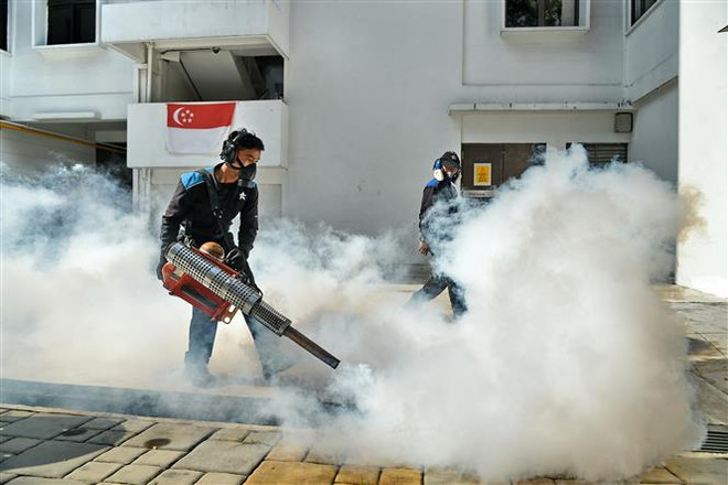Singapore confirms two more Zika cases ảnh 1