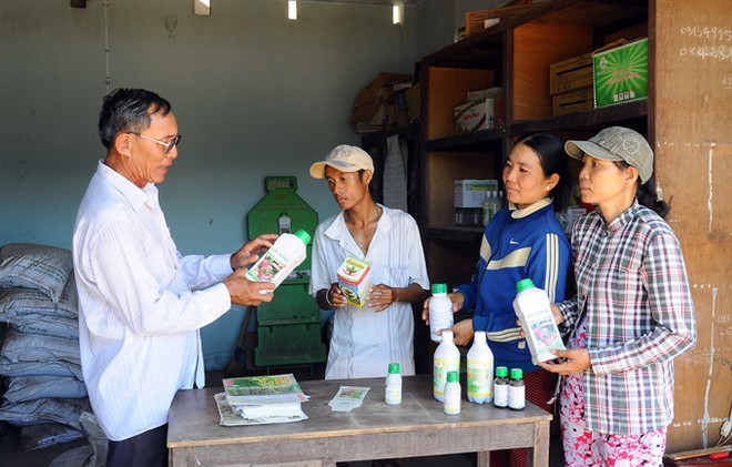 Market told to limit pesticide import ảnh 1