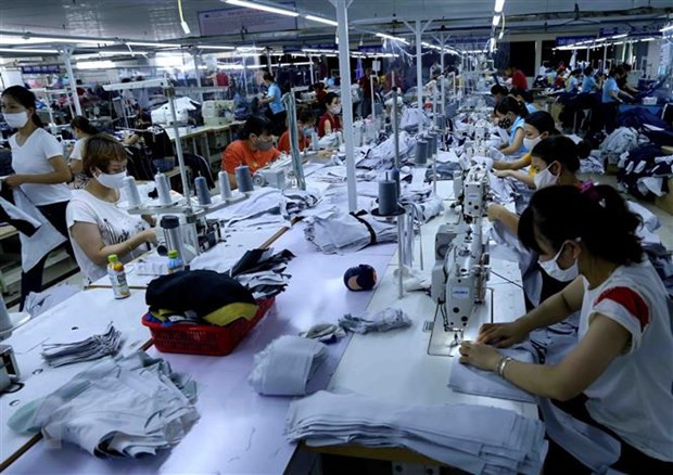 Export-import growth hits 10-year high ảnh 1