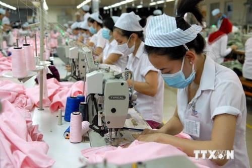 Over 10,000 new businesses set up in January ảnh 1