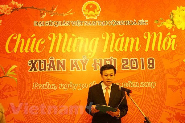 Vietnamese expats in Czech Republic, Algeria celebrate Tet festival ảnh 1