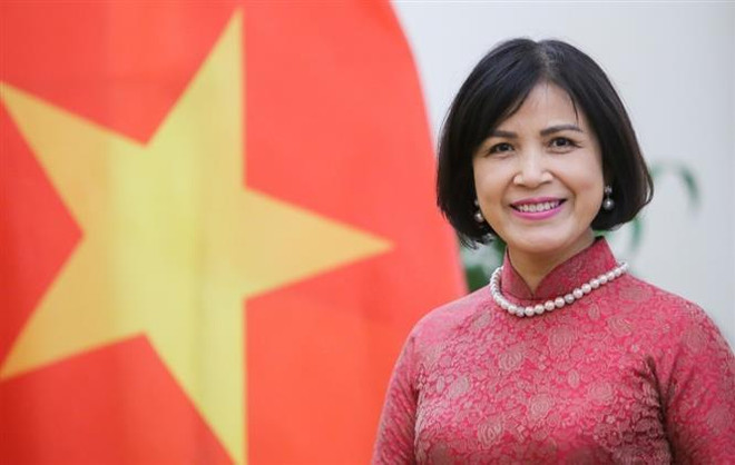 Vietnam supports, congratulates new WTO leader: Ambassador ảnh 1