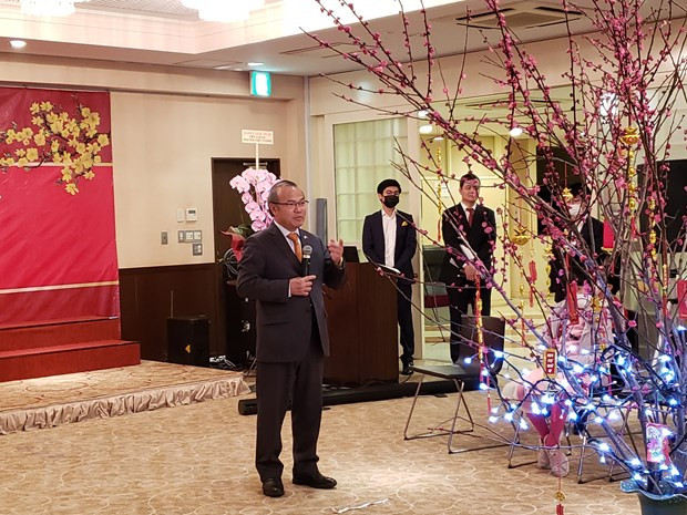 Vietnamese embassies celebrate Tet in Malaysia, Japan ảnh 2 Vietnamese embassies celebrate Tet in Malaysia, Japan ảnh 2