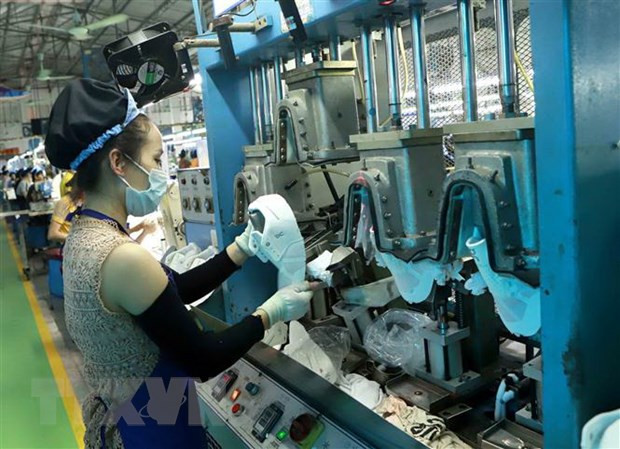 Socialist-oriented economy helps Vietnam go forward confidently: Russian expert ảnh 1