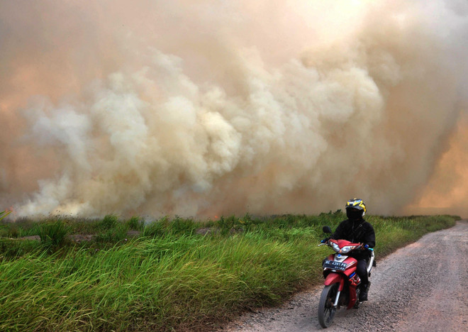 High risks of forest fires in many ASEAN countries ảnh 1 High risks of forest fires in many ASEAN countries ảnh 1