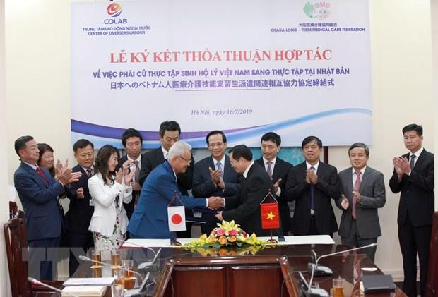 Vietnam, Japan step up human resources development cooperation ảnh 1
