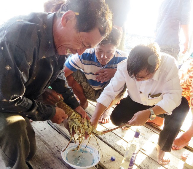 Lobster farmers march onward despite difficulties ảnh 1