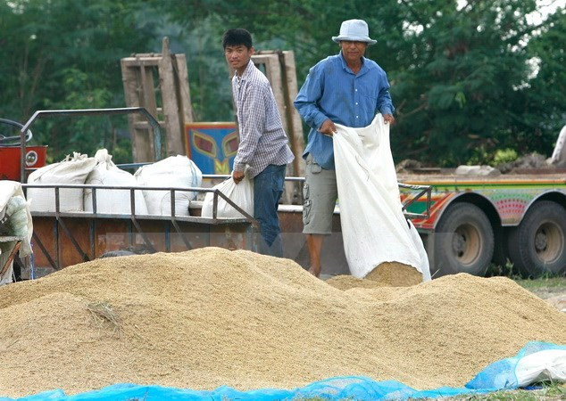 Thailand remains world’s biggest rice exporter ảnh 1 Thailand remains world’s biggest rice exporter ảnh 1