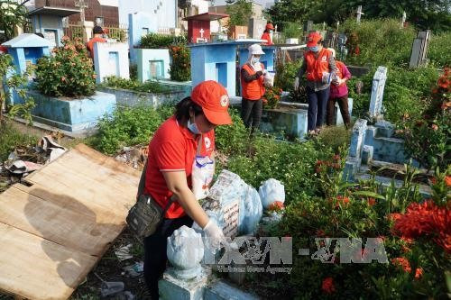 HCM City sees dengue rising slowly ảnh 1
