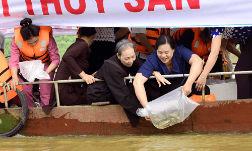 Mass fish release on Lo River on Vu Lan fest ảnh 1