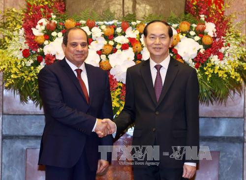 Vietnamese, Egyptian Presidents hold talks ảnh 1