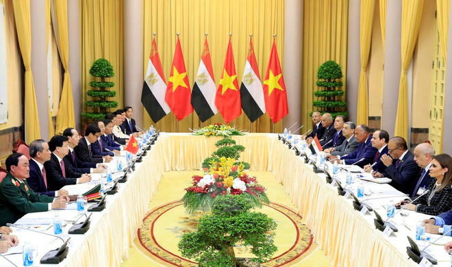 Vietnam, Egypt seal cooperation agreements ảnh 1