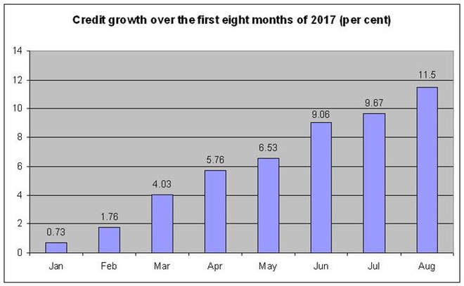 Eight-month credit growth rate touches 11.5 percent ảnh 1