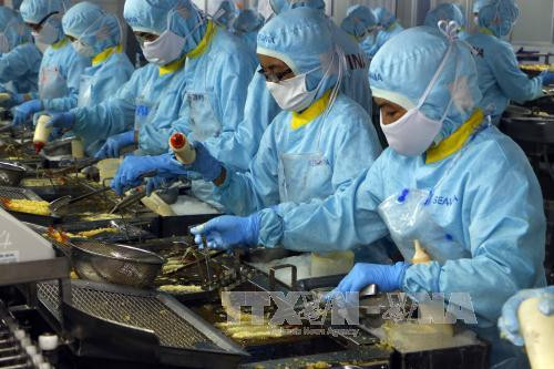 Price of material shrimp increases in August ảnh 1