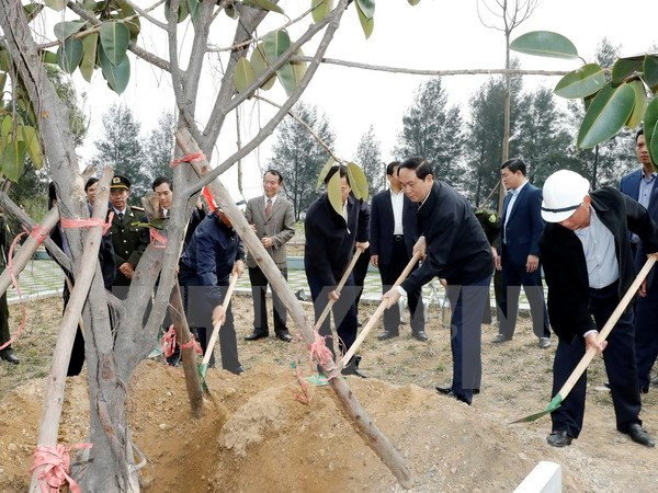President calls for widespread response to tree planting festival ảnh 1