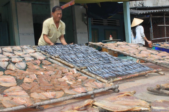 Bac Lieu’s district focuses on marine economic development ảnh 1