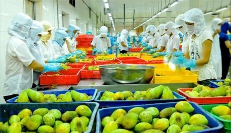 Vietnam targets vegetable, fruit export value at 3 billion USD ảnh 1