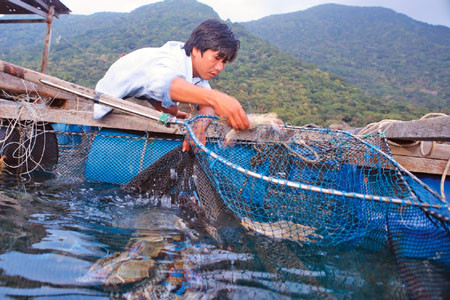 Vietnam’s coastal zones boast rich resources ảnh 1