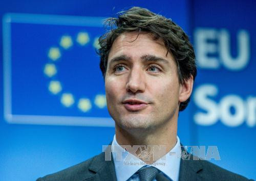 Canadian Prime Minister congratulates Vietnamese on Tet ảnh 1