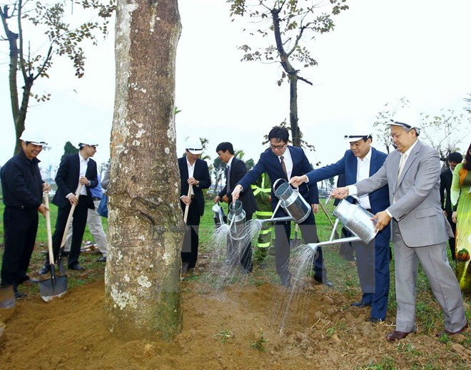 Hanoi launches tree-planting campaign ảnh 1