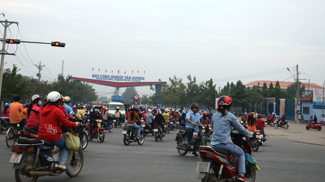 Tien Giang promotes industrial parks ảnh 1