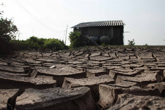 Dry season irrigation planned ảnh 1