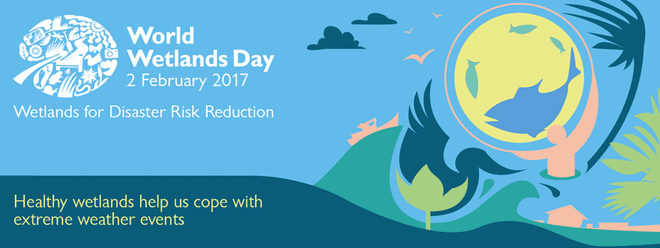 IUCN launches wetlands project ảnh 1