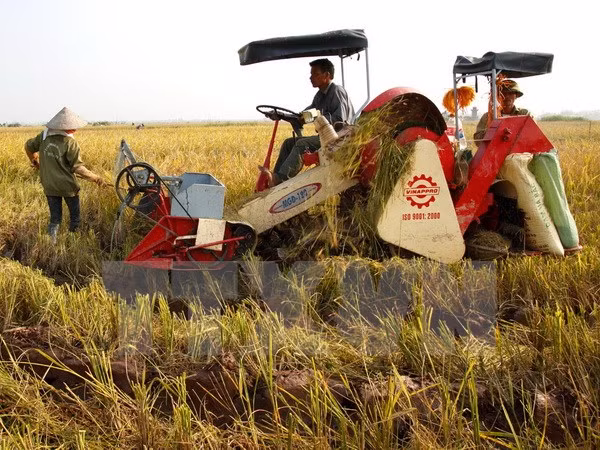 Innovation creates sustainable agriculture value chain ảnh 1
