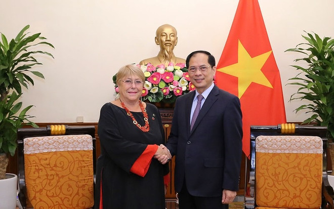 Vietnam always values relations with Chile: FM ảnh 1