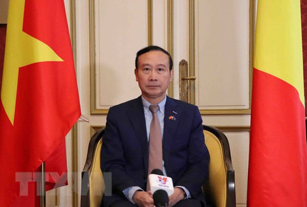 Vietnam, Belgium enjoy fruitful 50-year-ties: Ambassador ảnh 2 Vietnam, Belgium enjoy fruitful 50-year-ties: Ambassador ảnh 2