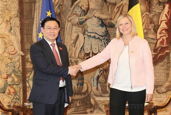 Vietnam, Belgium enjoy fruitful 50-year-ties: Ambassador ảnh 1 Vietnam, Belgium enjoy fruitful 50-year-ties: Ambassador ảnh 1