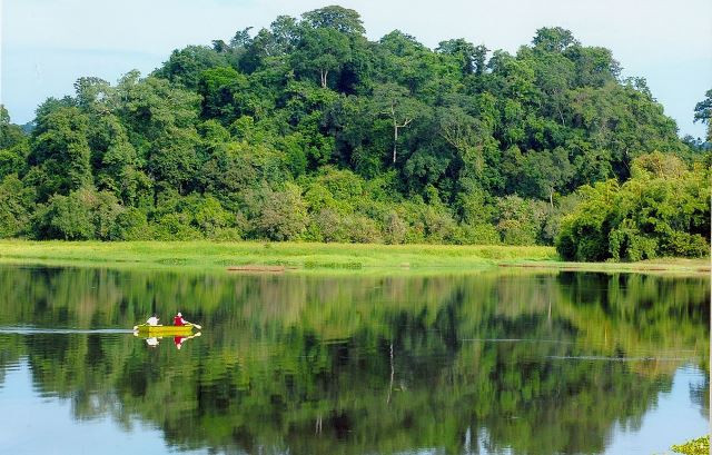 Forum marks International Day of Forests ảnh 1