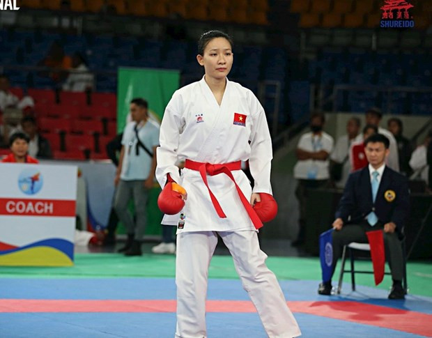 Vietnam tops Southeast Asian Karate Championships ảnh 1