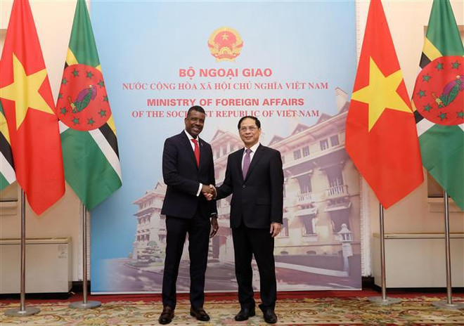 Vietnamese, Dominican foreign ministers hold talks ảnh 1
