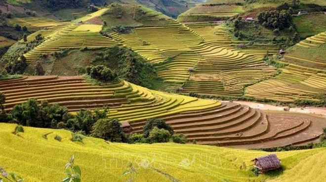 Northwestern provinces look to turn terraced fields into cultural assets ảnh 1
