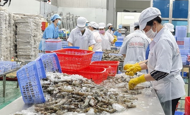 Driven by UKFTA, UK shrimp exports on way to double-digit growth ảnh 3 Driven by UKFTA, UK shrimp exports on way to double-digit growth ảnh 3