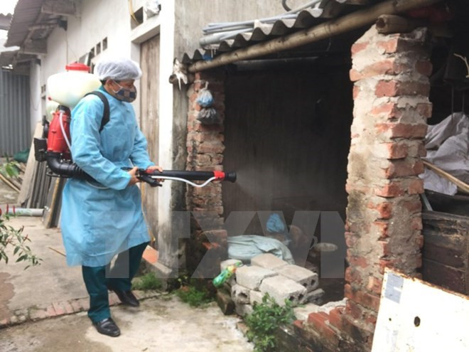 Hanoi posts fewer dengue fever cases ảnh 1 Hanoi posts fewer dengue fever cases ảnh 1