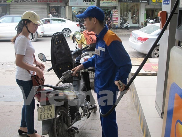 Ministry proposes raising environmental tax on petrol ảnh 1