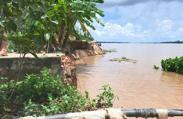 Dong Thap works to cope with erosion ảnh 1