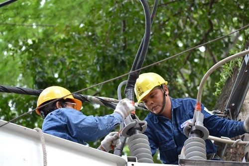 EVN ensures stable electricity supply for southern hub ảnh 1