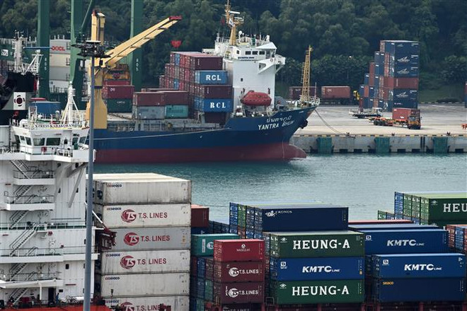 Singapore’s exports increase after three-month drop ảnh 1