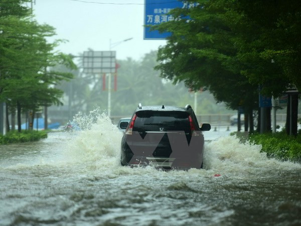 Typhoon Sarika causes severe losses for Philippines, China ảnh 1 Typhoon Sarika causes severe losses for Philippines, China ảnh 1