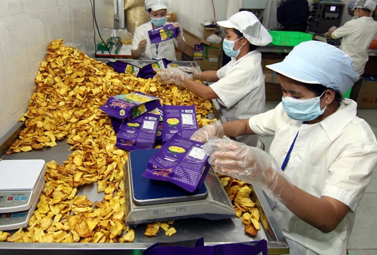 Dong Nai enterprises in need of more workers ảnh 1 Dong Nai enterprises in need of more workers ảnh 1