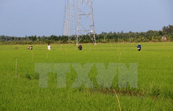 PM suggests hi-tech and organic farming for national agriculture ảnh 1