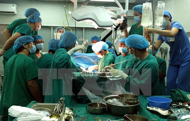 More pediatric liver transplantation in HCM City ảnh 1 More pediatric liver transplantation in HCM City ảnh 1