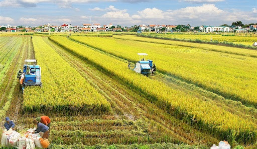 New mindset needed in agricultural production ảnh 1