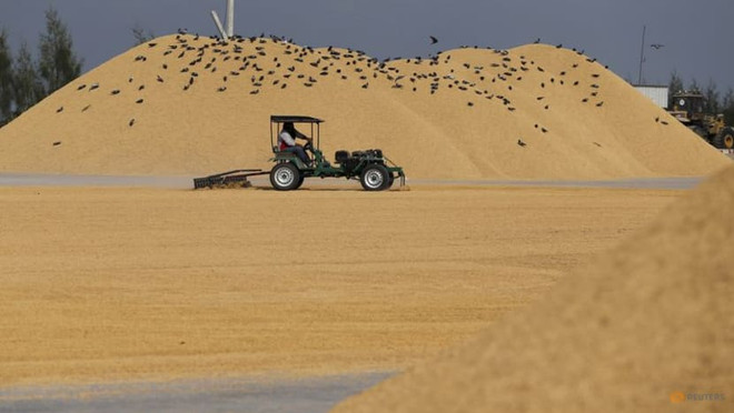 Thailand raises rice export target to 8.5 million tonnes in 2023 ảnh 1