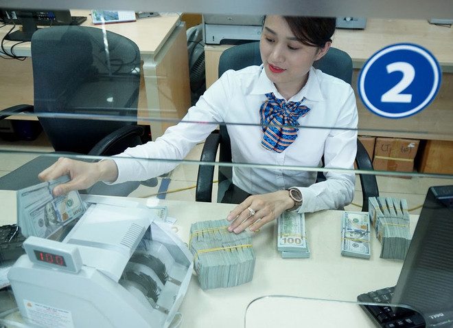 Remittance flows forecast to increase in year-end months: experts ảnh 1